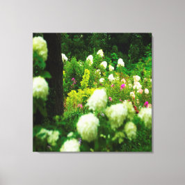 Lienzo Hidrangeas livianas en mi jardín de Rubio