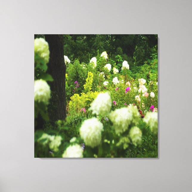 Lienzo Hidrangeas livianas en mi jardín de Rubio (Anverso)