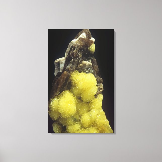 Lienzo Hidroboracita en Gorgeyite, Kazajistán (Anverso)