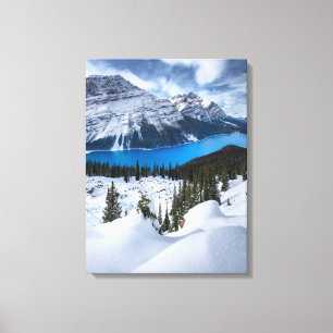 Lienzo Hielo y nieve Lago Peyto, Rockies Canadienses