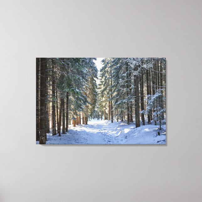 Lienzo Hielo y nieve | Montañas Tatra, Polonia (Anverso)