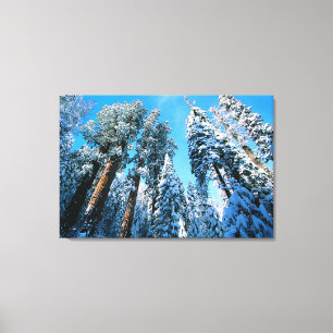 Lienzo Hielo y nieve Parque nacional Sequoia, Californi