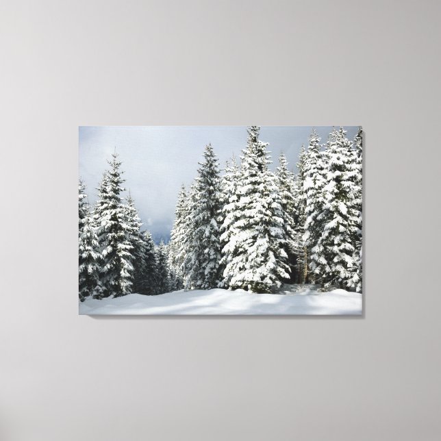 Lienzo Hielo y nieve | Pine Woodland, Austria (Anverso)