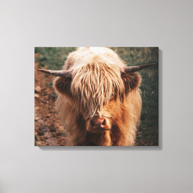 Lienzo Highland Cow Scotland (Anverso)