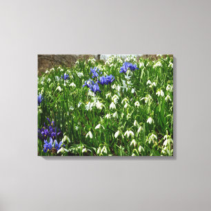 Lienzo Hillside of Early Spring Flowers Landscape