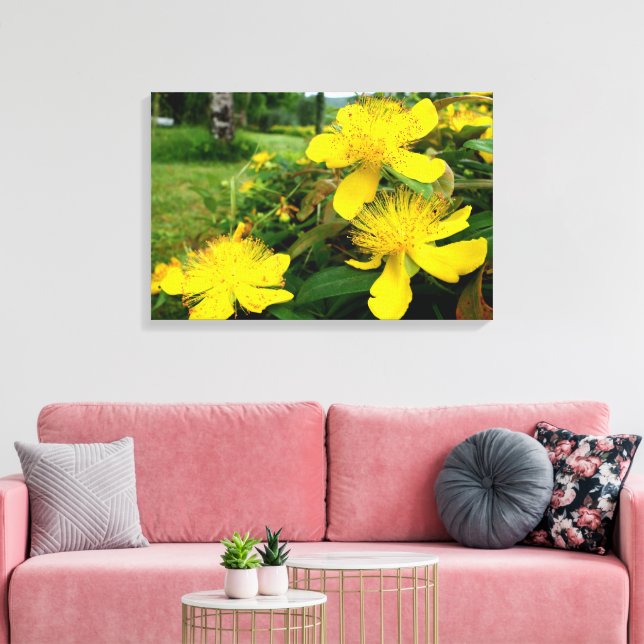 Lienzo Hipericum calycinum (Insitu (Sala de estar))