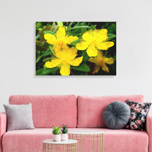 Lienzo Hipericum calycinum