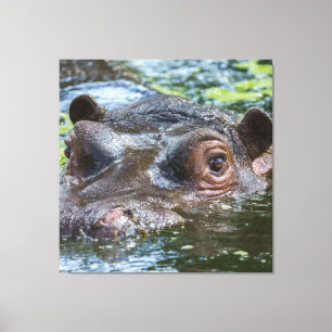 Lienzo Hippo En El Triptch Del Agua