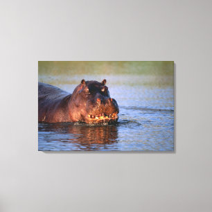 Lienzo Hippopotamus en el río