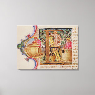 Lienzo Historiated rubrica "E" que representa la cosecha