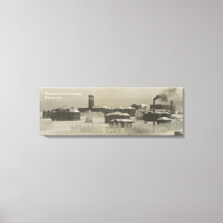 Lienzo Histórico Washington State College (WSU)