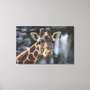 Lienzo Hodokubo, Hino, Tokio, Japón