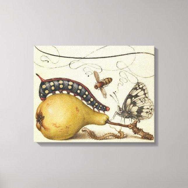 Lienzo Hoefnagel Vintage Peral e Insectos 1500s Renacimie (Anverso)