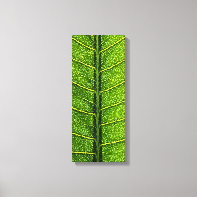 Lienzo Hoja (Anverso)