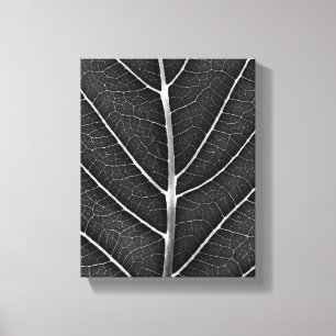Lienzo Hoja brillante en blanco y negro en primer plano