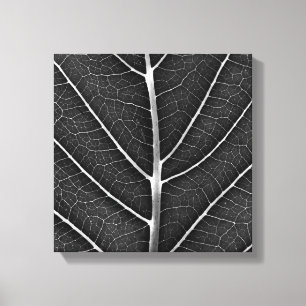 Lienzo Hoja brillante en blanco y negro en primer plano