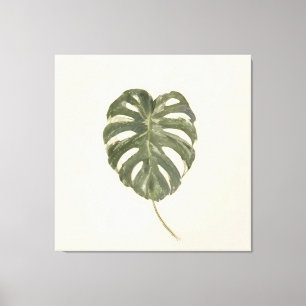 Lienzo Hoja de Monstera Variada Minimalista Crema Vintage