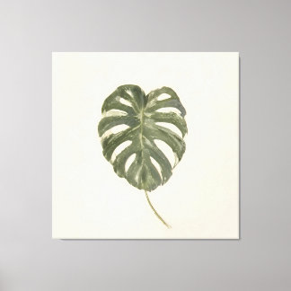 Lienzo Hoja de Monstera Variada Minimalista Crema Vintage