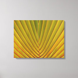 Lienzo Hoja de palma