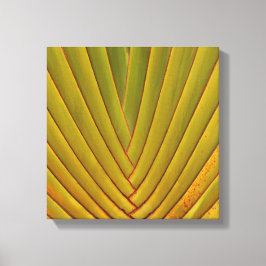 Lienzo Hoja de palma