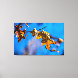 Lienzo Hoja de roble seca - La primavera no está lejos