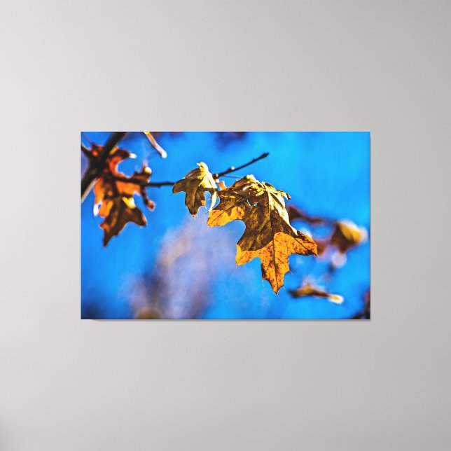 Lienzo Hoja de roble seca - La primavera no está lejos (Anverso)