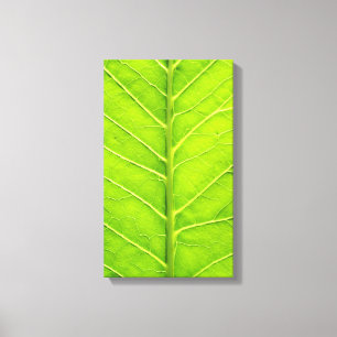 Lienzo Hoja verde