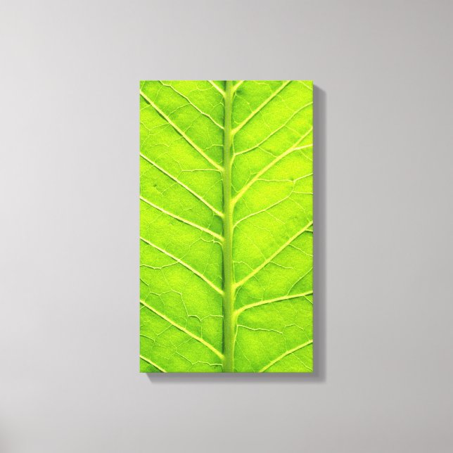 Lienzo Hoja verde (Anverso)