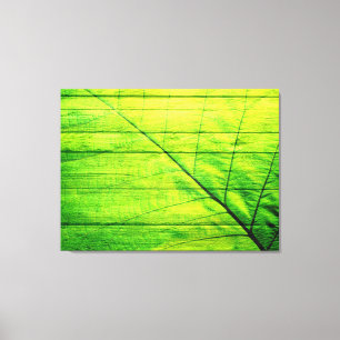 Lienzo Hoja verde acrílica en madera