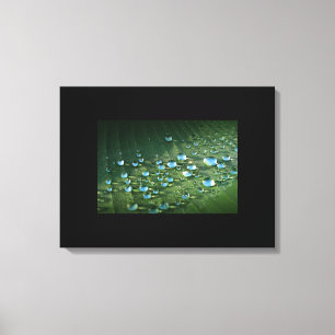 Lienzo Hojas de agua-arte de tela