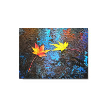 Hojas de arce caídas