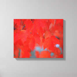 Lienzo Hojas de arce rojas en otoño