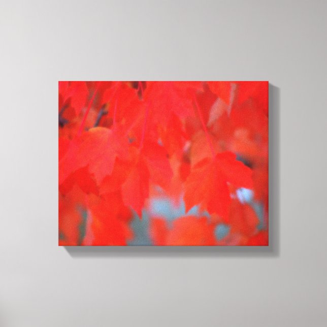 Lienzo Hojas de arce rojas en otoño (Anverso)