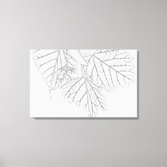 Lienzo Hojas de Basswood (Anverso)