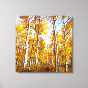 Lienzo Hojas de caída amarilla de la ranura del abrigo