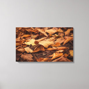 Lienzo Hojas de otoño