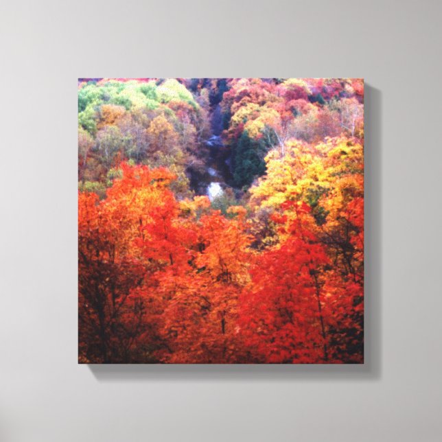Lienzo Hojas de otoño cambiando de color (Anverso)