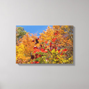 Lienzo Hojas de otoño coloridas