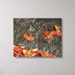 Lienzo Hojas de otoño en cascada I Fotografía de otoño