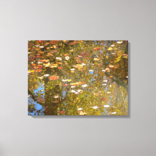 Lienzo Hojas de otoño y reflejo de arroyo en Greenbelt