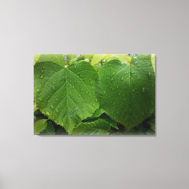 Lienzo hojas gemelas (Anverso)