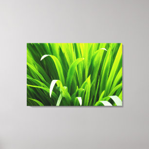 Lienzo Hojas iluminadas en el jardín