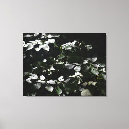 Lienzo Hojas oscuras