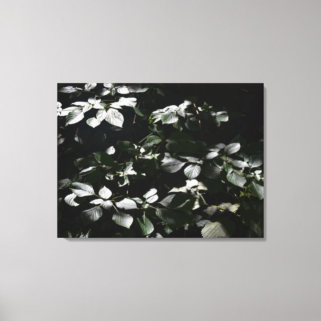 Lienzo Hojas oscuras (Anverso)