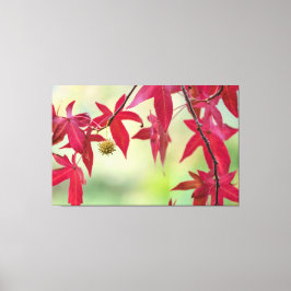 Lienzo Hojas rojas