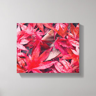Lienzo Hojas rojas de otoño