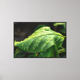 Lienzo Hojas, Verde, Botánica