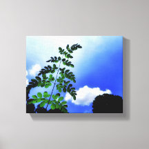 Hojas verdes, cielo y fondo de nubes