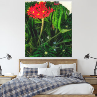 Lienzo Hojas y flores de la planta de coral