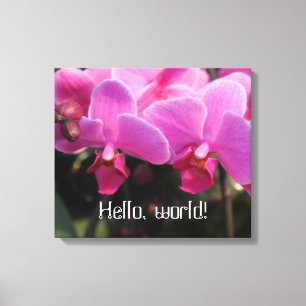 Lienzo hola mundo flores de orquídea rosa